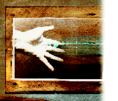 Image10.gif