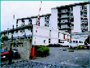 Image10.jpg