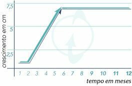 Curva de evolução e possíveis resultados a serem obtidos graças ao xtra size